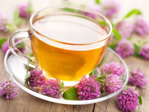 cha de valeriana chá de valeriana