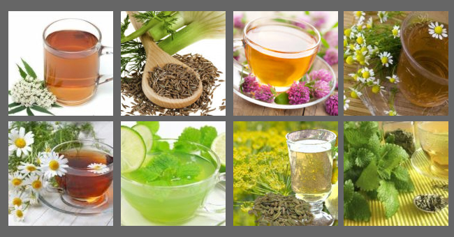 chas calmantes chas calmantes e antidepressivos