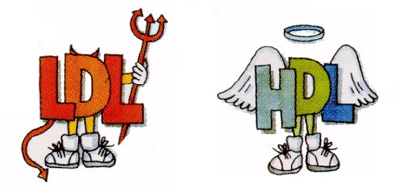 colesterol hdl e ldl o que é colesterol hdl